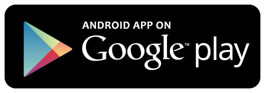 Play Store Icon