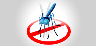 Mosquitoes & Flies Control - Gapoon Services
