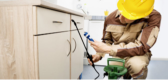 Termite Control - Gapoon Services