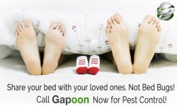 Pest Control by Gapoon